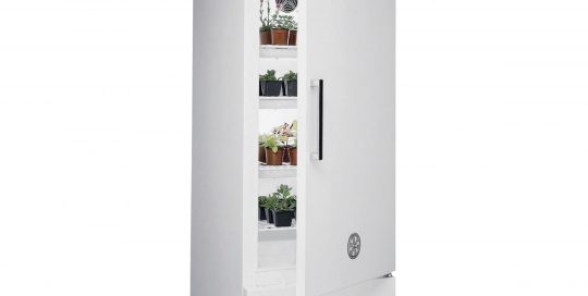 LMS XAL Cooled Incubators